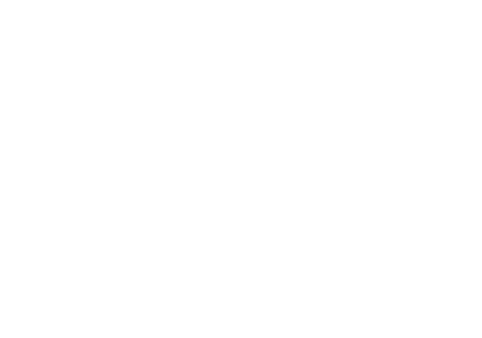 Bodysculpt